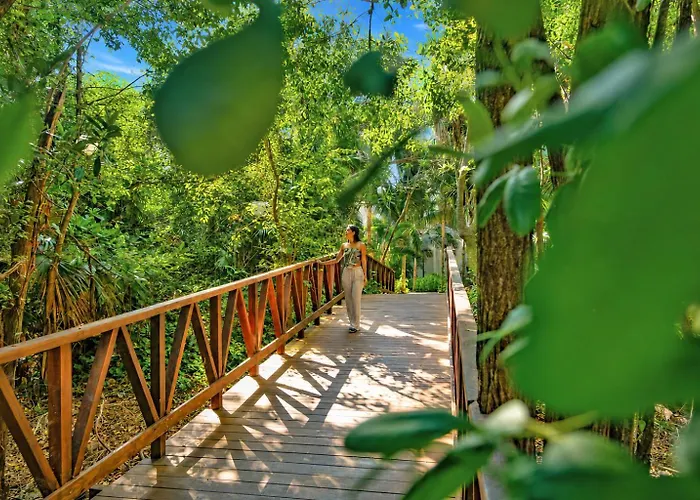 The Sens Riviera By Oasis Akumal
